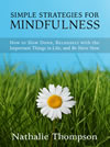 Buy Simple Strategies for Mindfulness