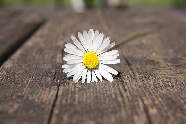 Coping with Worrying