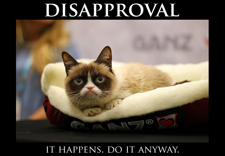 Dealing with Disapproval