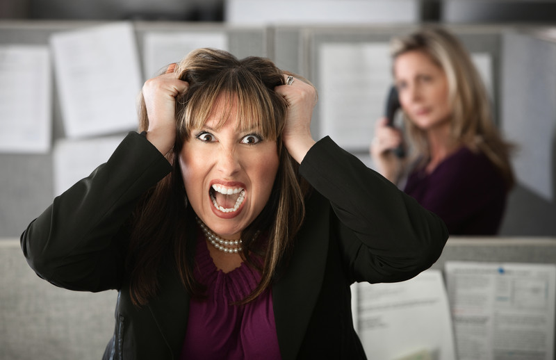 1427 What to do When You Hate Your Job