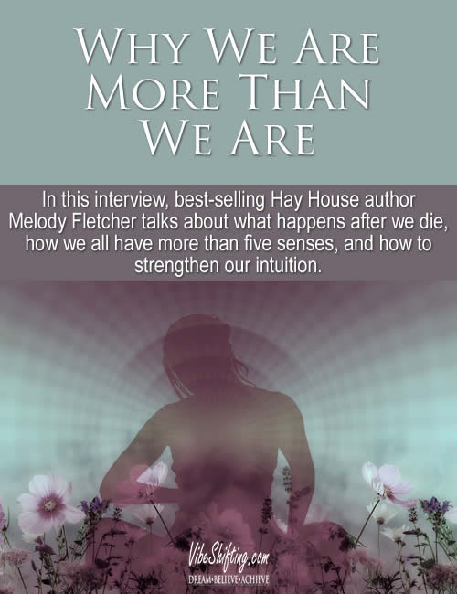 Why We Are More Than We Are - An Interview with author Melody Fletcher