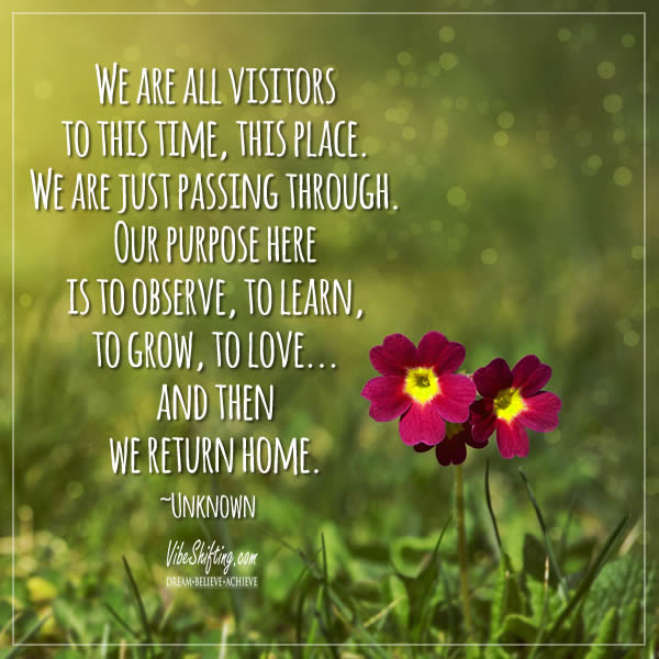 Quote - we are all visitors to this time, this place
